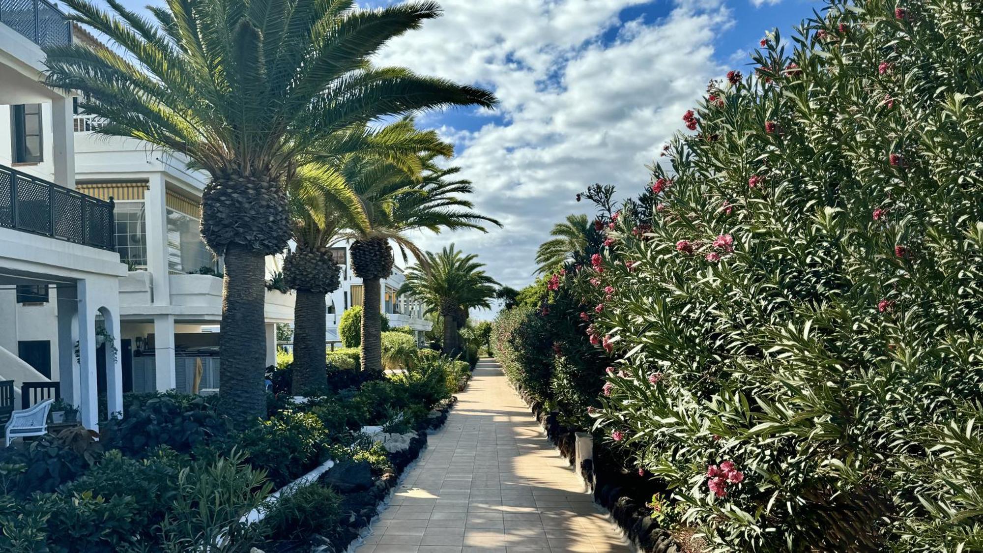 Serena Vista Golf 791 - Appartamento Confortevole A Amarilla Golf Σαν Μιγκέλ ντε Αμπόνα Εξωτερικό φωτογραφία